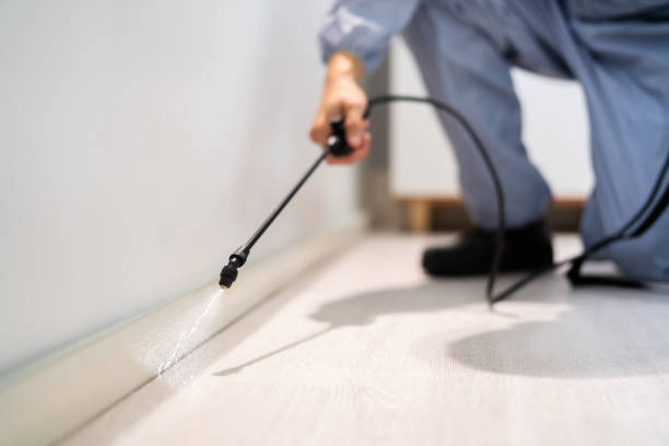 Licensed Pest Control service in Franklin County County, MS - Nex Pest Control