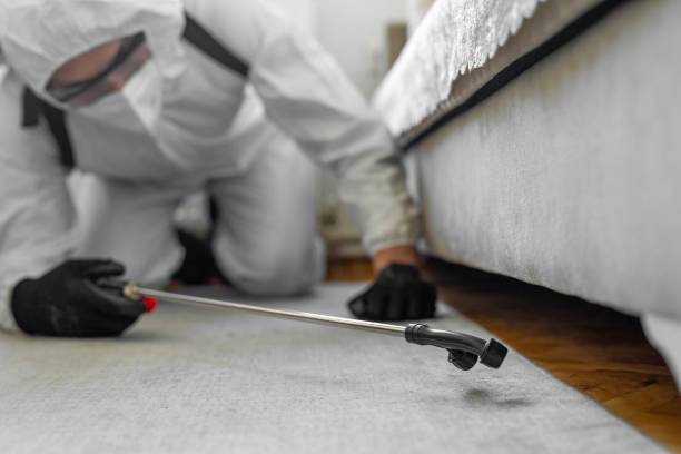 Professional Pest Control technician working in Franklin County County, MS